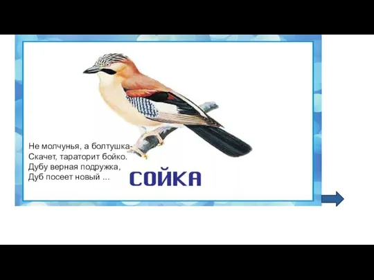 Не молчунья, а болтушка- Скачет, тараторит бойко. Дубу верная подружка, Дуб посеет новый ...