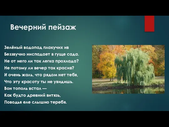 Вечерний пейзаж Зелёный водопад плакучих ив Беззвучно ниспадает в гуще сада. Не