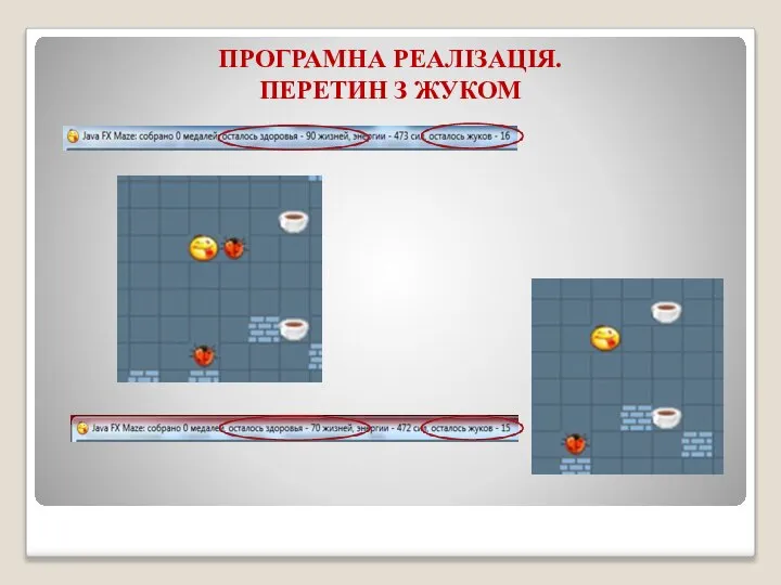 ПРОГРАМНА РЕАЛІЗАЦІЯ. ПЕРЕТИН З ЖУКОМ