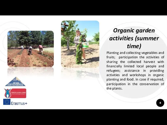 Organic garden activities (summer time) Planting and collecting vegetables and fruits; participation