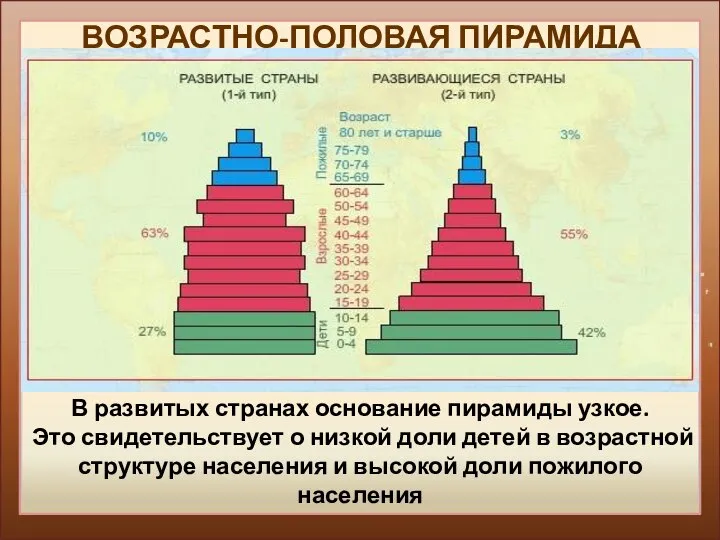 ВОЗРАСТНО-ПОЛОВАЯ ПИРАМИДА I тип воспроизводства населения - Япония В развитых странах основание