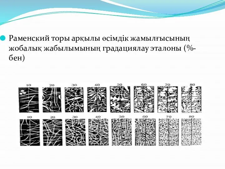 Раменский торы арқылы өсімдік жамылғысының жобалық жабылымының градациялау эталоны (%-бен)