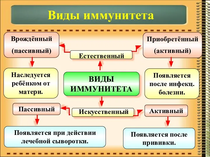 ВИДЫ ИММУНИТЕТА Естественный Искусственный Врождённый (пассивный) Приобретённый (активный) Пассивный Активный Наследуется ребёнком