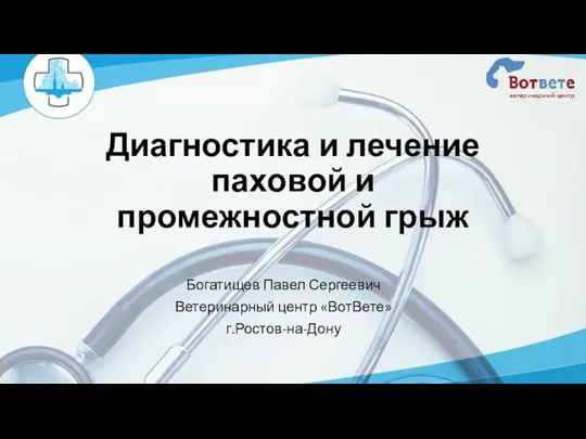 Диагностика и лечение паховой и промежностной грыж Богатищев Павел Сергеевич Ветеринарный центр «ВотВете» г.Ростов-на-Дону