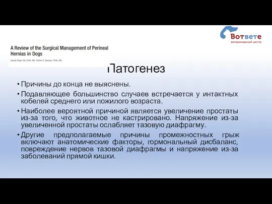 Патогенез Причины до конца не выяснены. Подавляющее большинство случаев встречается у интактных