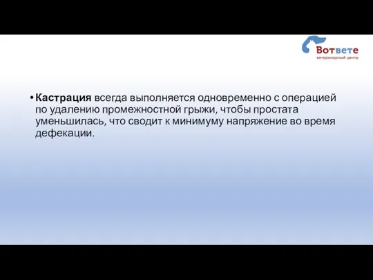 Кастрация всегда выполняется одновременно с операцией по удалению промежностной грыжи, чтобы простата