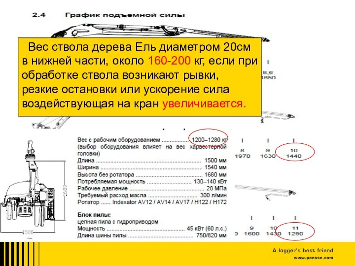 Нагрузка на стрелу крана. Вес ствола дерева Ель диаметром 20см в нижней