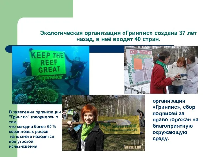 Экологическая организация «Гринпис» создана 37 лет назад, в неё входят 40 стран.