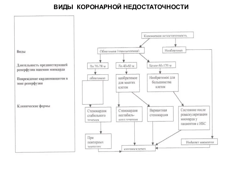 ВИДЫ КОРОНАРНОЙ НЕДОСТАТОЧНОСТИ