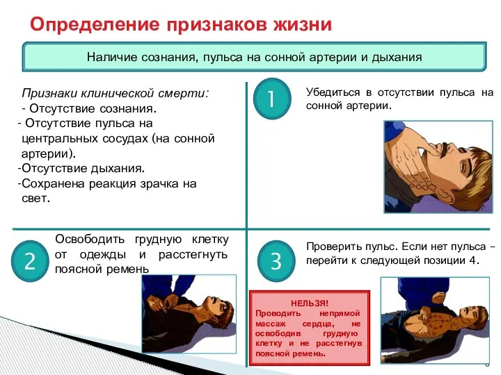 Определение признаков жизни Наличие сознания, пульса на сонной артерии и дыхания 1