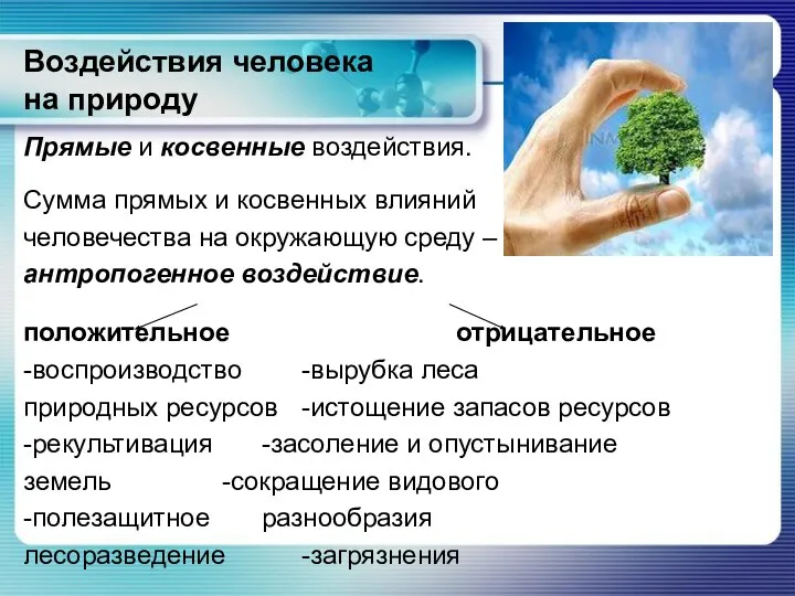 Воздействия человека на природу Прямые и косвенные воздействия. Сумма прямых и косвенных