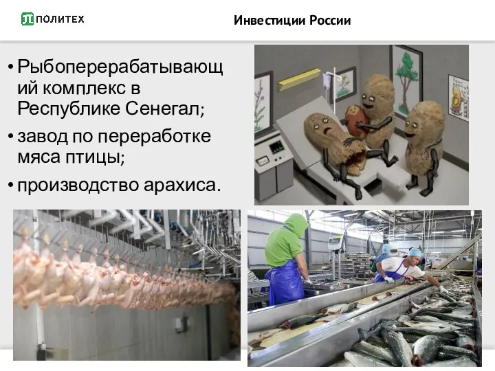 Инвестиции России Рыбоперерабатывающий комплекс в Республике Сенегал; завод по переработке мяса птицы; производство арахиса.