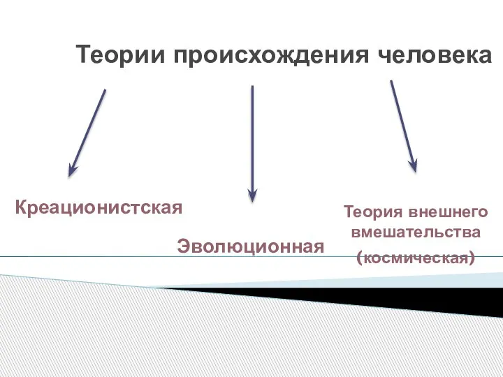 Теории происхождения человека Креационистская Эволюционная Теория внешнего вмешательства (космическая)