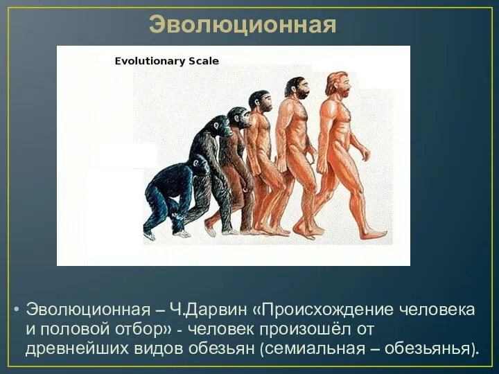 Эволюционная Эволюционная – Ч.Дарвин «Происхождение человека и половой отбор» - человек произошёл