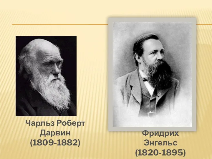 Чарльз Роберт Дарвин (1809-1882) Фридрих Энгельс (1820-1895)