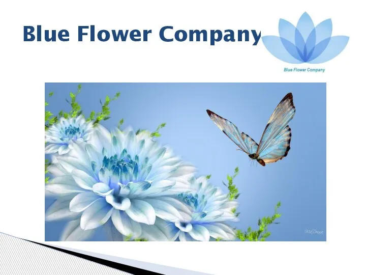 Blue Flower Company
