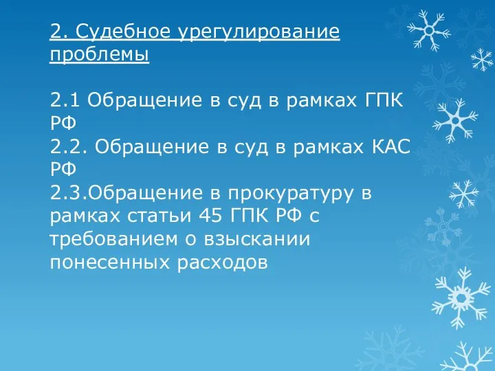 2. Судебное урегулирование проблемы 2.1 Обращение в суд в рамках ГПК РФ