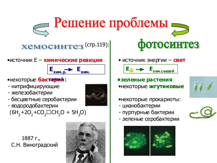 Решение проблемы хемосинтез фотосинтез источник Е – химические реакции некоторые бактерии: нитрифицирующие