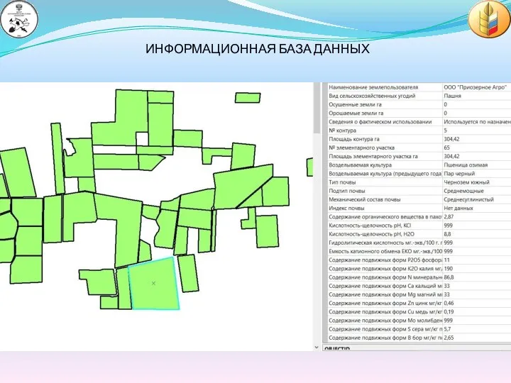 ИНФОРМАЦИОННАЯ БАЗА ДАННЫХ