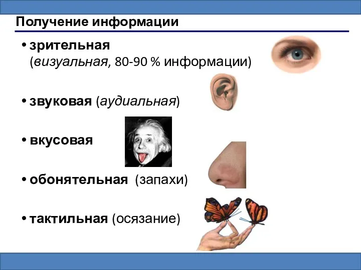 Получение информации зрительная (визуальная, 80-90 % информации) звуковая (аудиальная) вкусовая обонятельная (запахи) тактильная (осязание)