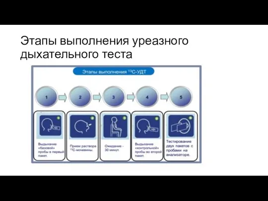 Этапы выполнения уреазного дыхательного теста