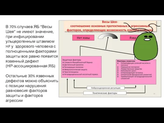 В 70% случаев ЯБ “Весы Шея” не имеют значение, при инфицировании ульцерогенным