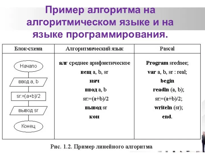 Пример алгоритма на алгоритмическом языке и на языке программирования.