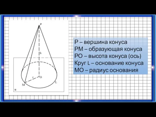 Р – вершина конуса РМ – образующая конуса РО – высота конуса