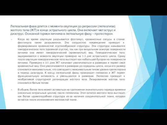 Лютеальная фаза длится с момента овуляции до регрессии (лютеолиза) желтого тела (ЖТ)