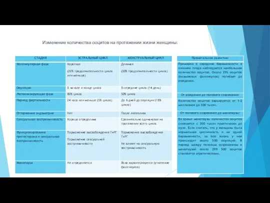 Изменение количества ооцитов на протяжении жизни женщины: