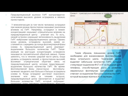 Предовуляционный выплеск ГнРГ контролируется сочетанием высокого уровня эстрадиола и низкого прогестерона. У