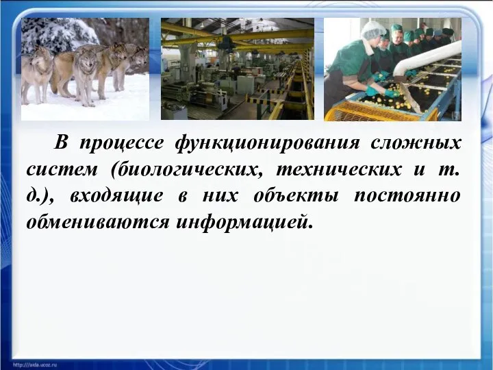 В процессе функционирования сложных систем (биологических, технических и т.д.), входящие в них объекты постоянно обмениваются информацией.