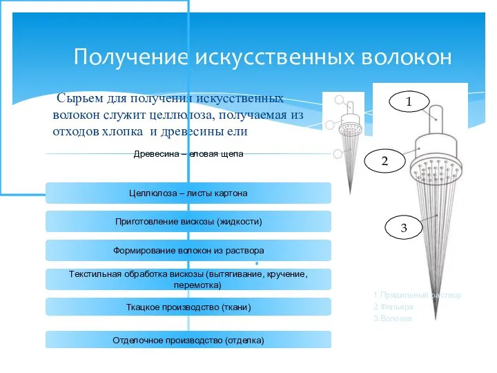 Получение искусственных волокон Сырьем для получения искусственных волокон служит целлюлоза, получаемая из