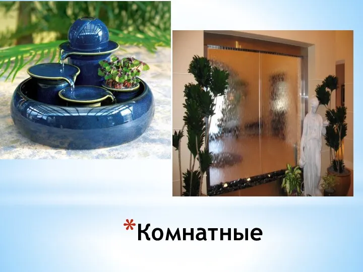 Комнатные