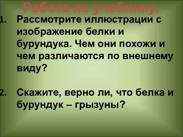 Работа по учебнику. Рассмотрите иллюстрации с изображение белки и бурундука. Чем они