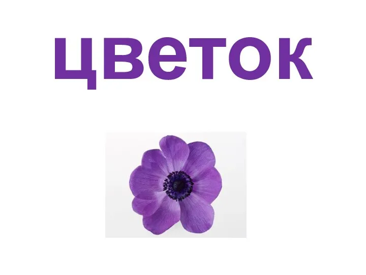 цветок