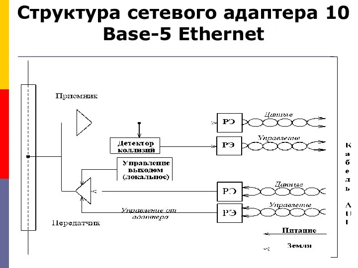 Структура сетевого адаптера 10 Base-5 Ethernet