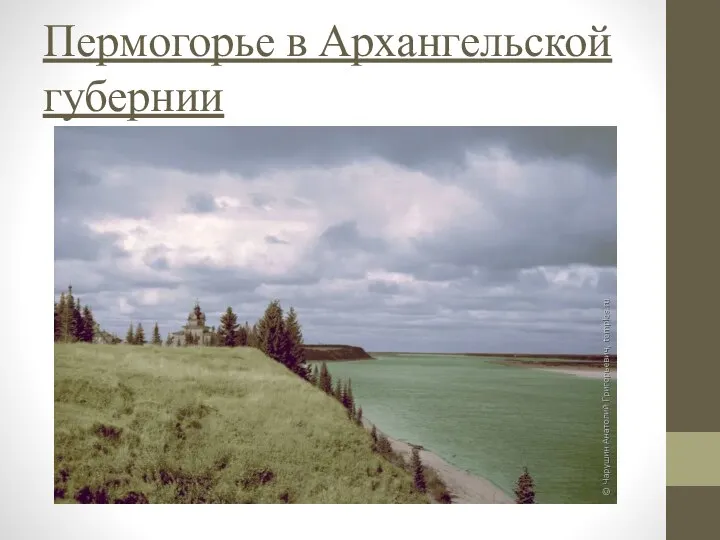 Пермогорье в Архангельской губернии
