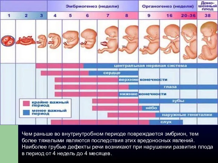 Чем раньше во внутриутробном периоде повреждается эмбрион, тем более тяжелыми являются последствия