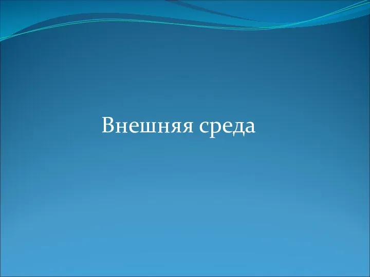 Внешняя среда