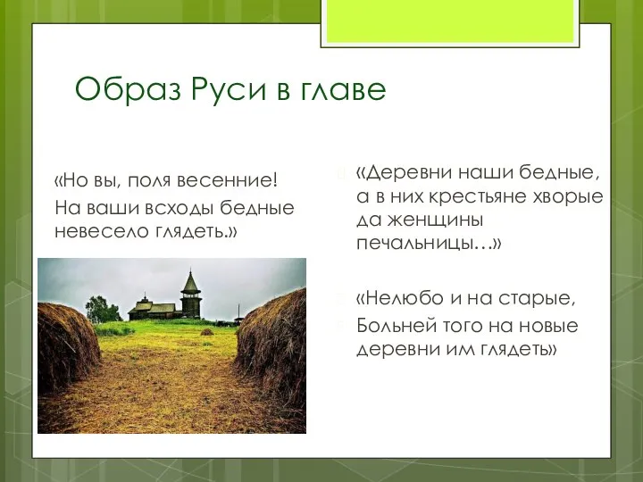 Образ Руси в главе «Но вы, поля весенние! На ваши всходы бедные