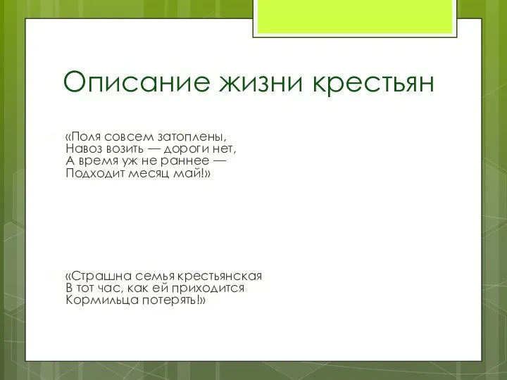 Описание жизни крестьян «Поля совсем затоплены, Навоз возить — дороги нет, А