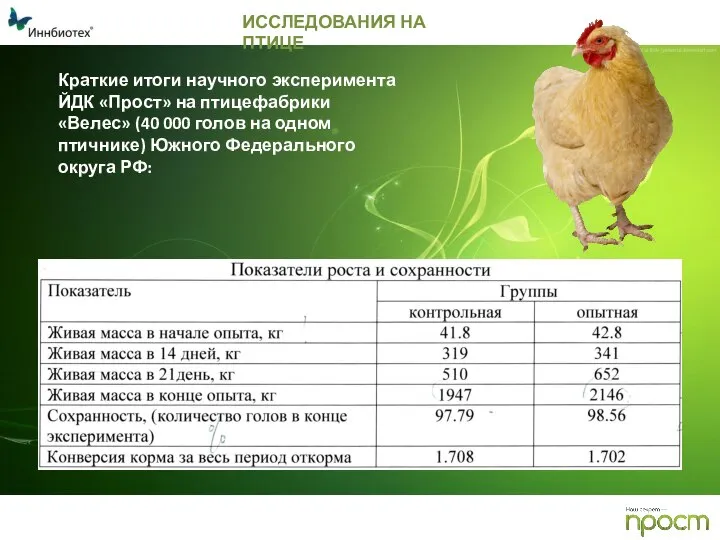 ИССЛЕДОВАНИЯ НА ПТИЦЕ Краткие итоги научного эксперимента ЙДК «Прост» на птицефабрики «Велес»