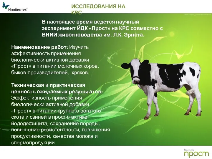 ИССЛЕДОВАНИЯ НА КРС В настоящее время ведется научный эксперимент ЙДК «Прост» на