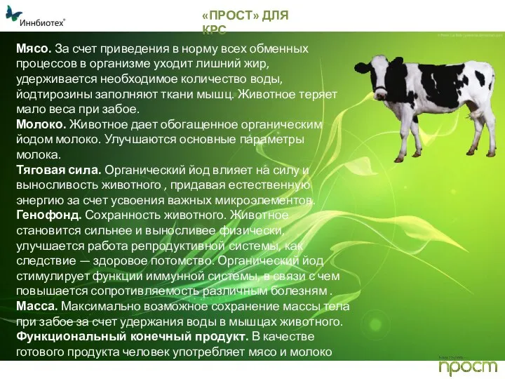 «ПРОСТ» ДЛЯ КРС Мясо. За счет приведения в норму всех обменных процессов