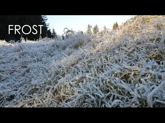 FROST