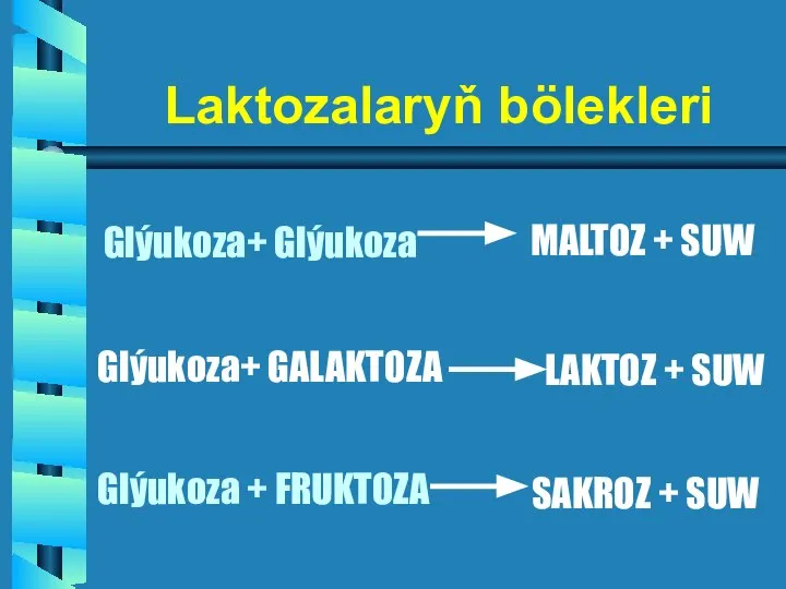 Glýukoza+ Glýukoza MALTOZ + SUW Glýukoza+ GALAKTOZA LAKTOZ + SUW Glýukoza +