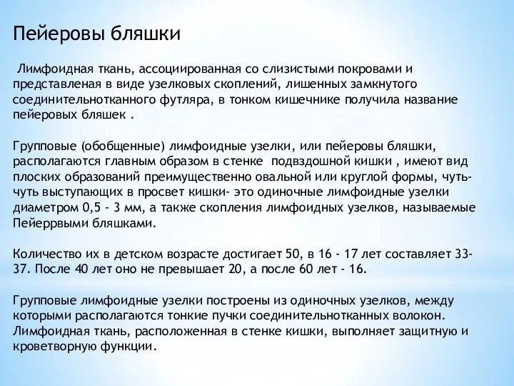 Пейеровы бляшки Лимфоидная ткань, ассоциированная со слизистыми покровами и представленая в виде