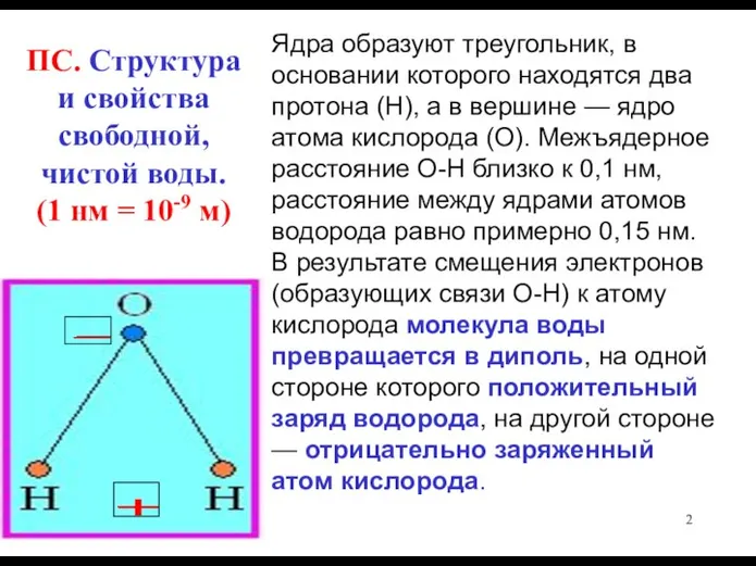 ПС. Структура и свойства свободной, чистой воды. (1 нм = 10-9 м)