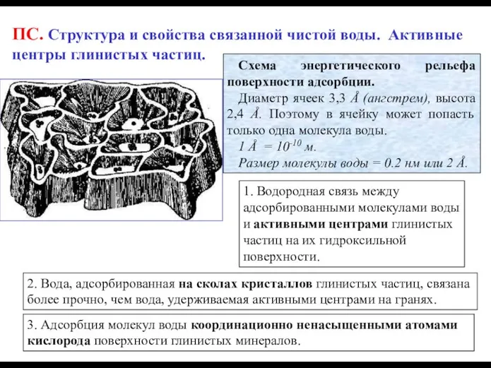 ПС. Структура и свойства связанной чистой воды. Активные центры глинистых частиц. 1.